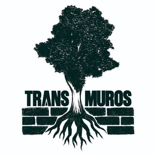 Transmuros